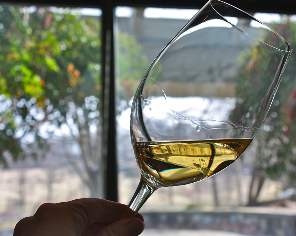 sparkling wine against vineyard view